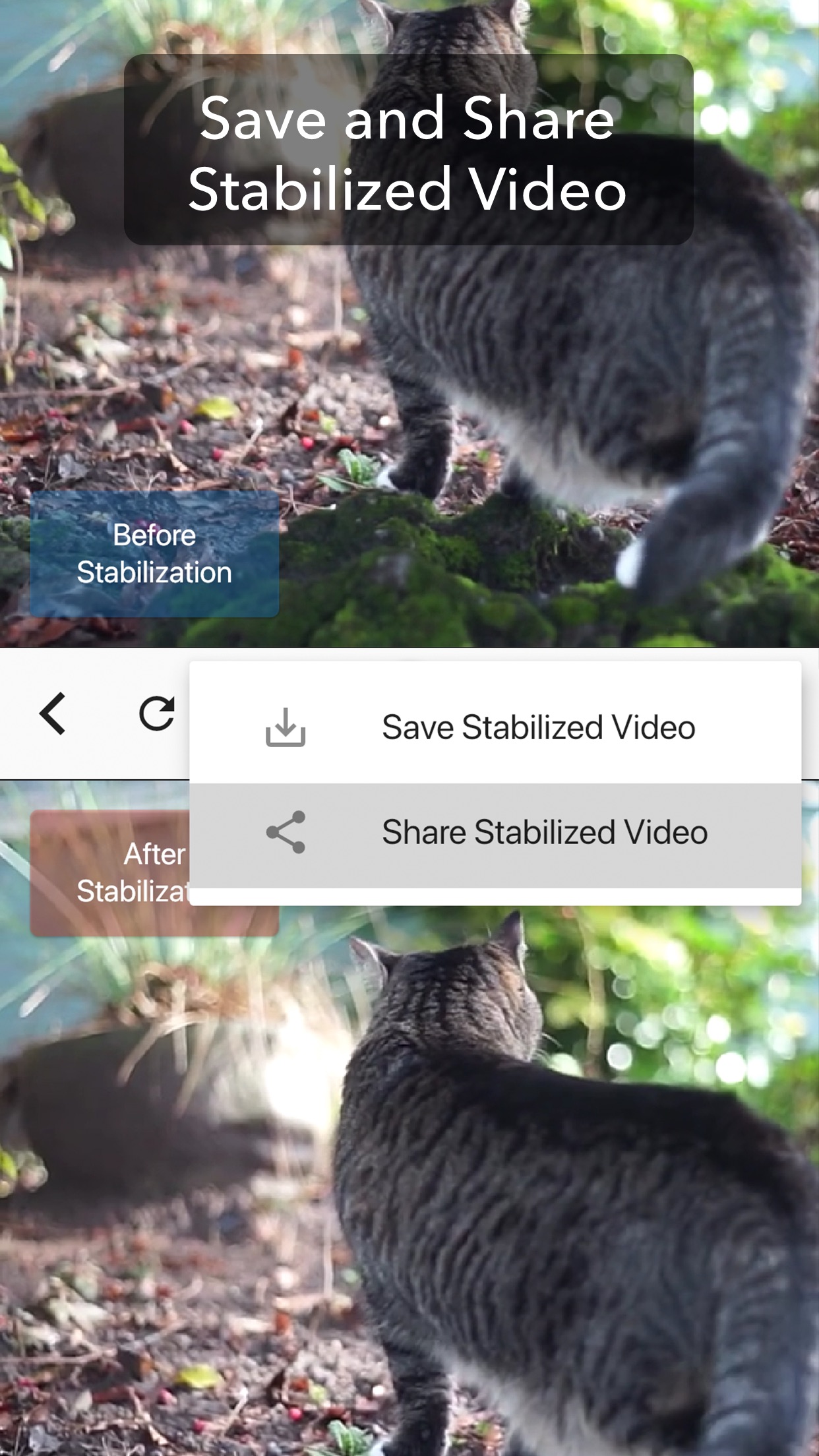 Screenshot do app Deshake Video - Stabilization