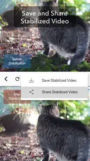 How to cancel & delete deshake video - stabilization 2