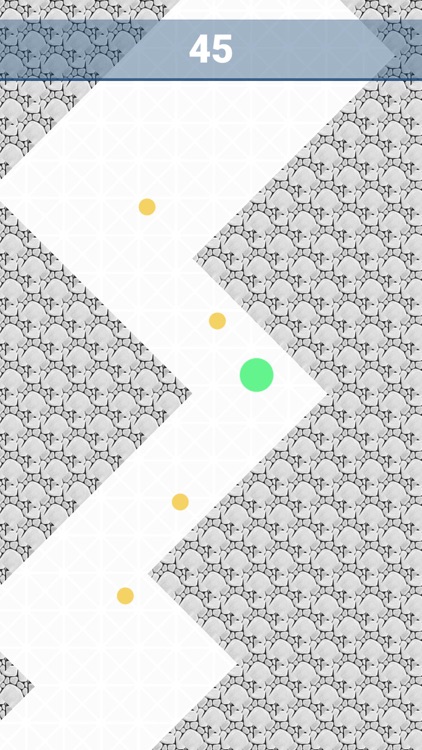 Dot Zigzag Maze