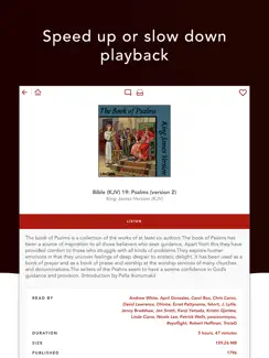Audio Bibles iPad image 4