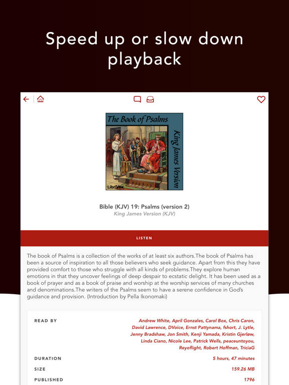 Audio Bibles iPad screenshot 4 - Book app