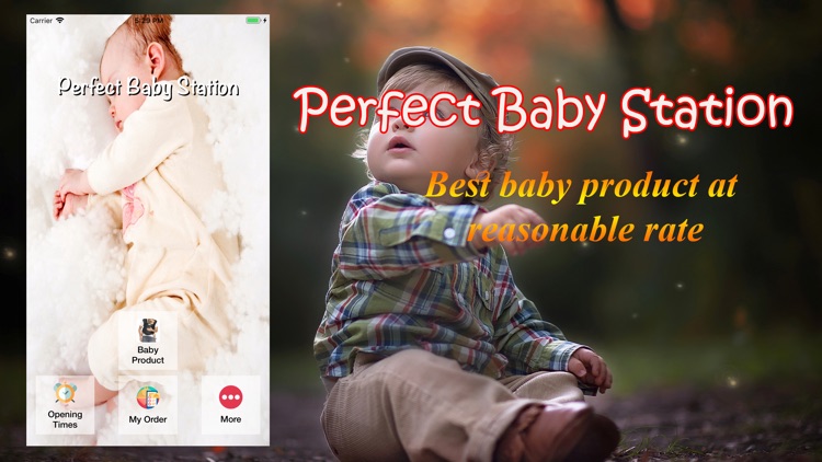 Perfect Baby Station