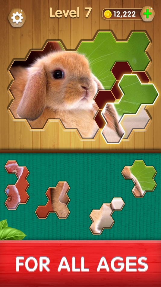 Jigsaw Classic 2020 - 1.0 - (iOS)