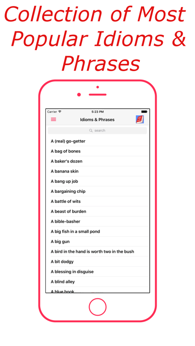 Idioms & Phrases (English) Screenshot