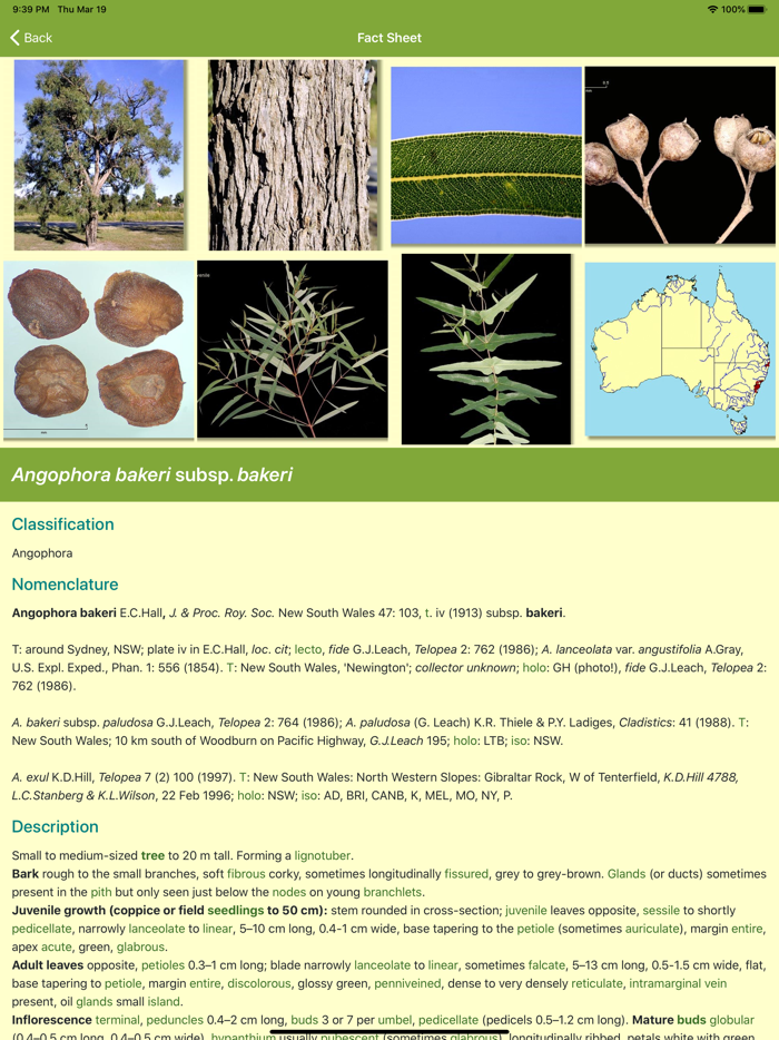 EUCLID Eucalypts of Australia