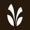 The Springs Fitness Trainer app provides class schedules, social media platforms, fitness goals, and in-club challenges