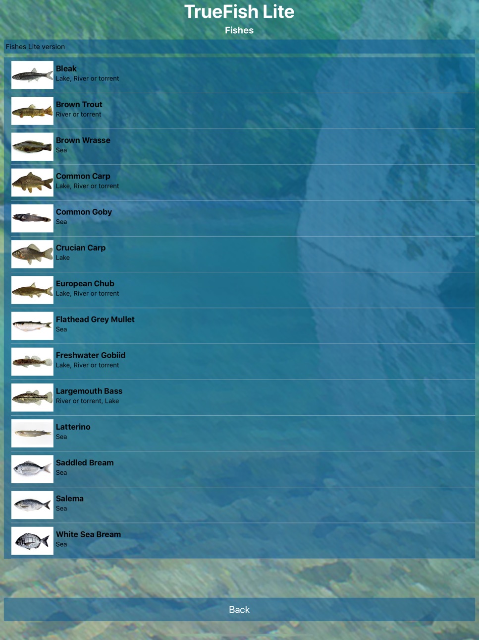 iPad screenshot