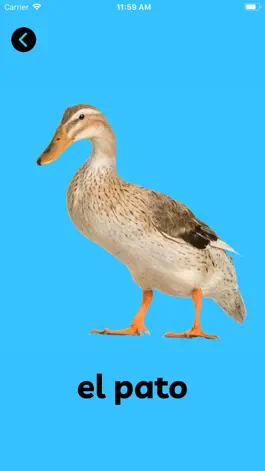 Game screenshot BabyCloud First Words Spanish hack