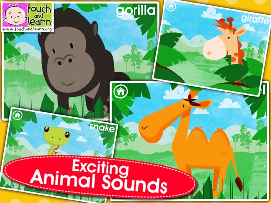 Screenshot #6 pour Peekaboo Zoo - Who's Hiding..?