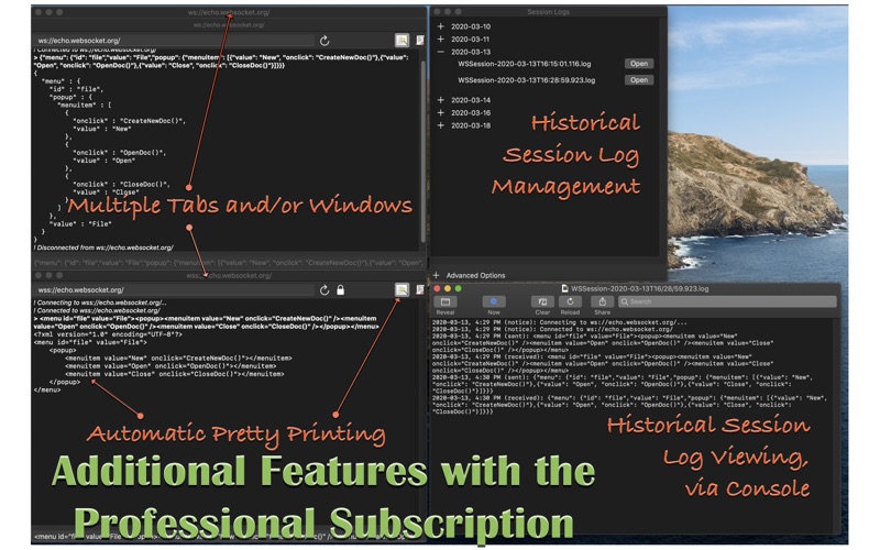 Screenshot #3 pour WSTerminal