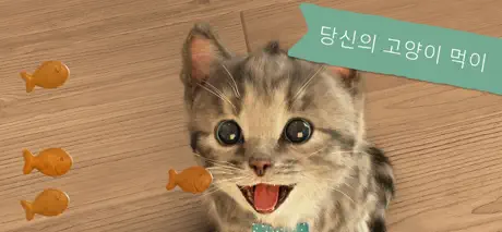 내가 가장 좋아하는 - 아기 고양이
