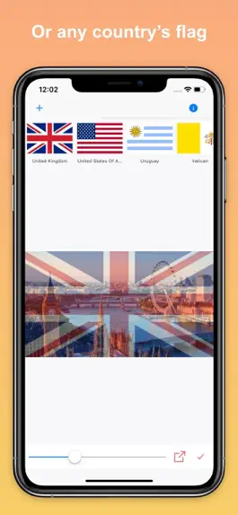 Game screenshot Country Flag Lite apk