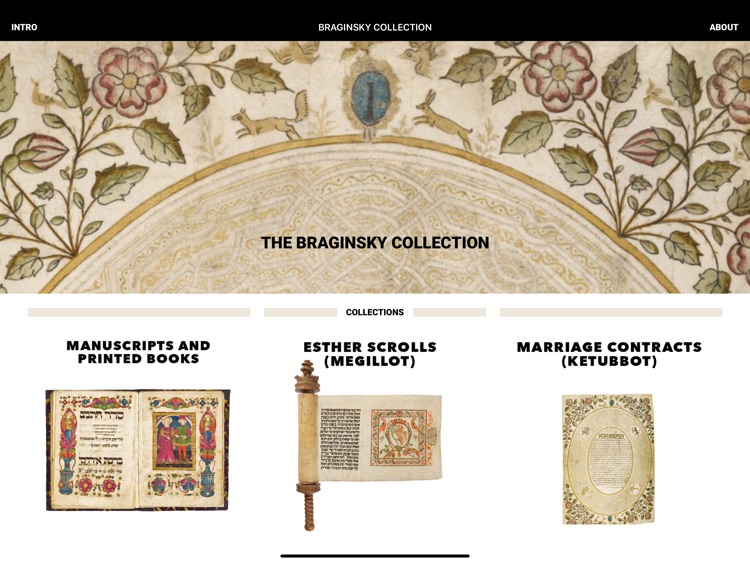 Braginsky Collection