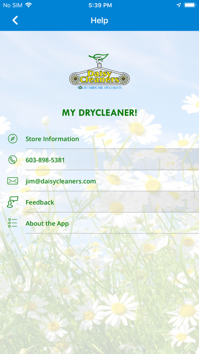 Daisy Cleaners screenshot 4