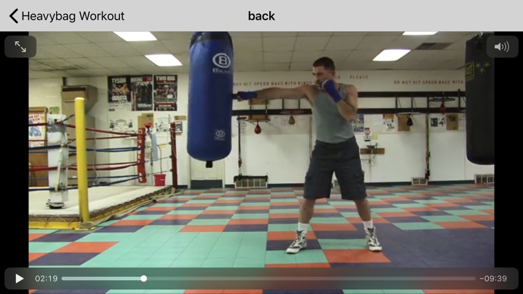 Boxing The Sweet Science screenshot-4