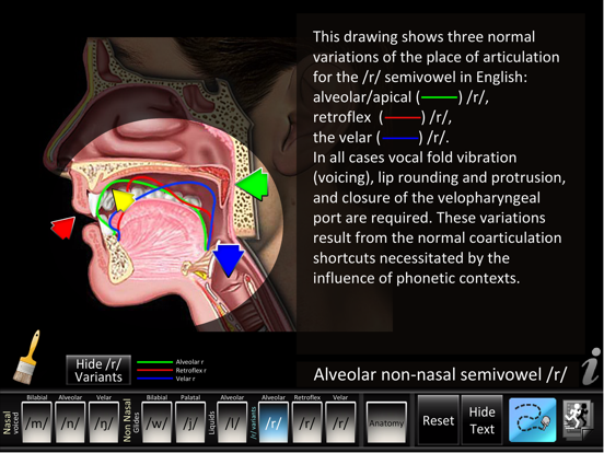Screenshot #5 pour Semivowels