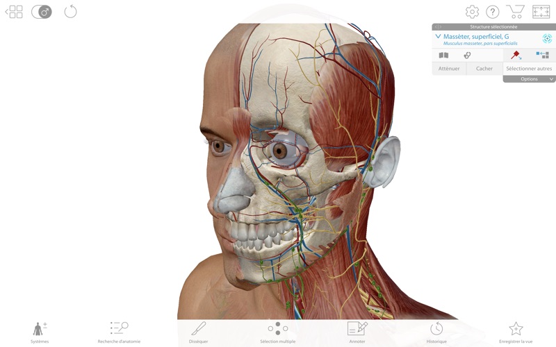 Screenshot Atlas d'anatomie humaine 2019