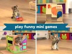 Little Kitten: Virtual Pet Cat iPad image 1
