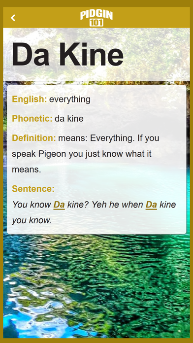 Pidgin 101 App iPhone screenshot 6 - Reference app