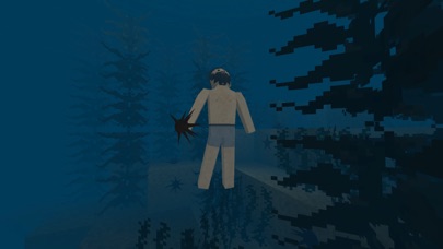 Survivalcraft 2 Day One Screenshot