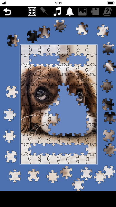 Jigsaw - Jigsaw Puzzle Fun! Screenshot