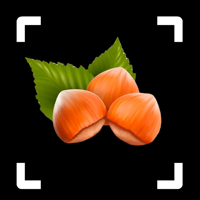 Nut Identifier Nut ID