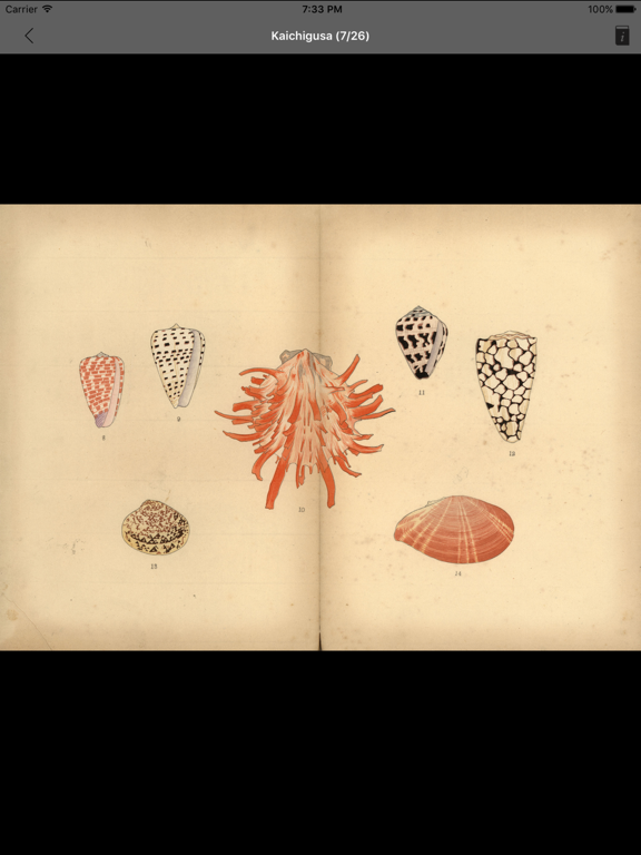 MAU M&L Natural History iPad screenshot 5 - Education app