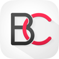 Bizz Connect Networking