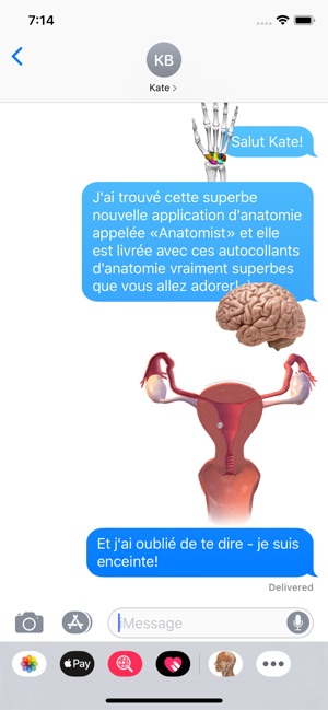 Jeu docteur anatomie complet