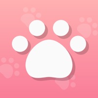 歩数計walk シンプルなダイエット歩数計アプリ Para Pc Descarga Gratis Windows 10 8 7 Y Mac Os Pcmac Espanol