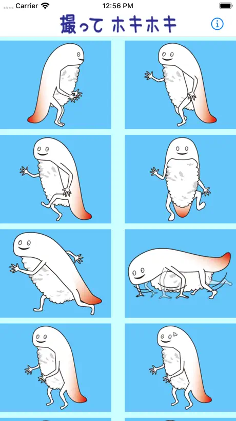 撮ってホキホキ - ずーしーほっきーのカメラ
