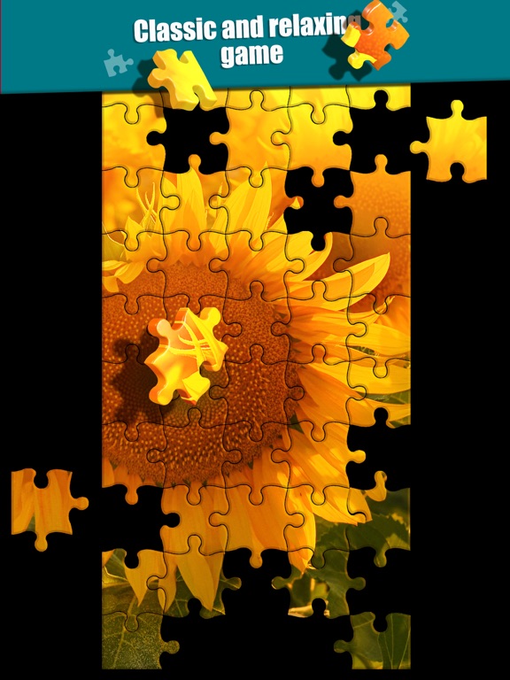Screenshot #4 pour Jigsaw Puzzle.