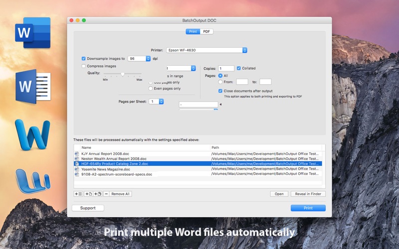Screenshot #2 pour BatchOutput DOC for Word