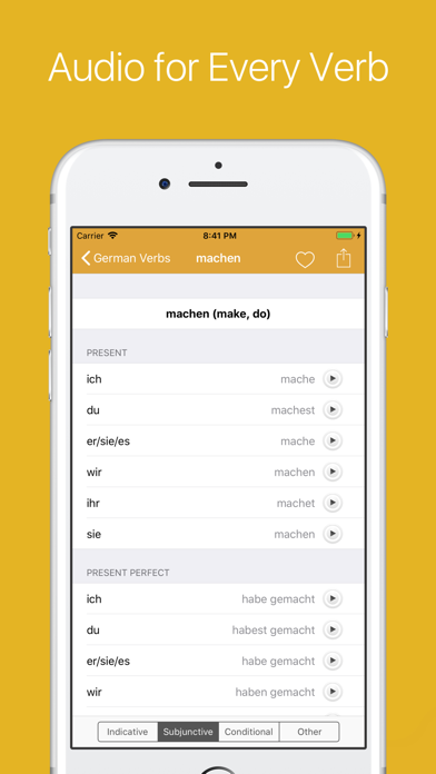 German Verb Conjugator Pro Screenshot