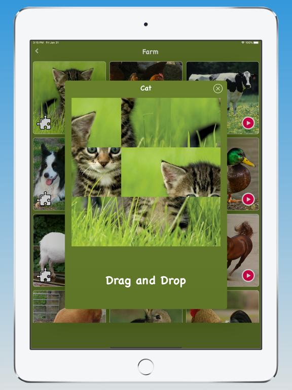 Animal Sounds, Animal Language iPad screenshot 2 - Education app
