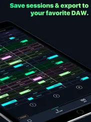 audiokit l7 - auv3 live looper айпад изображения 4