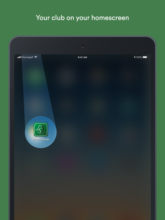 Screenshot #4 pour Lisheen Springs