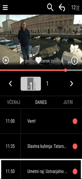 Game screenshot Mega TV apk