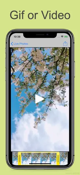 Game screenshot Livephoto to GIF & Video hack