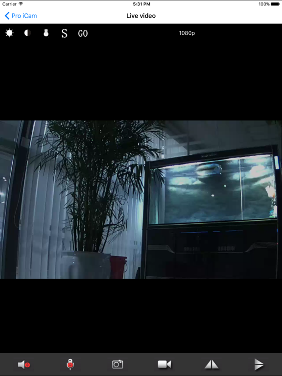 Screenshot #5 pour Pro iCam