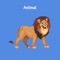 Animals Preschool Toddler is a great tool to help toddlers learn Animals