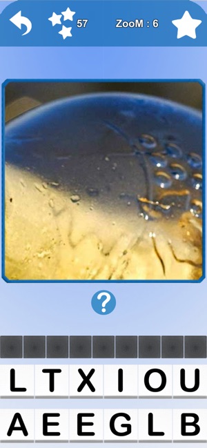 ZooM Pics & Word(圖4)-速報App