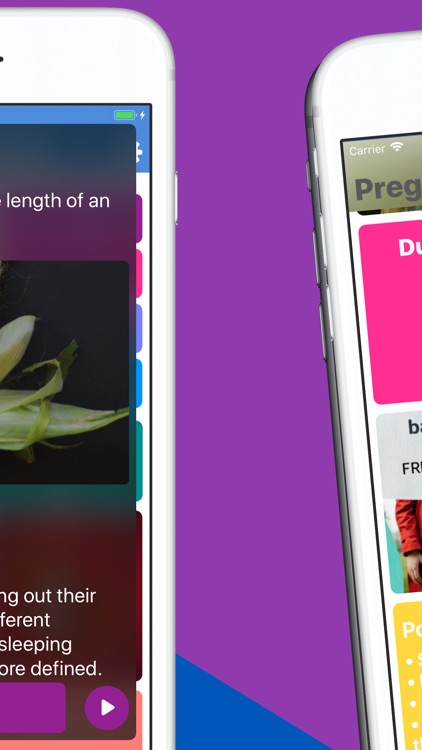 Pregnancy Tracker Your Journey screenshot-4