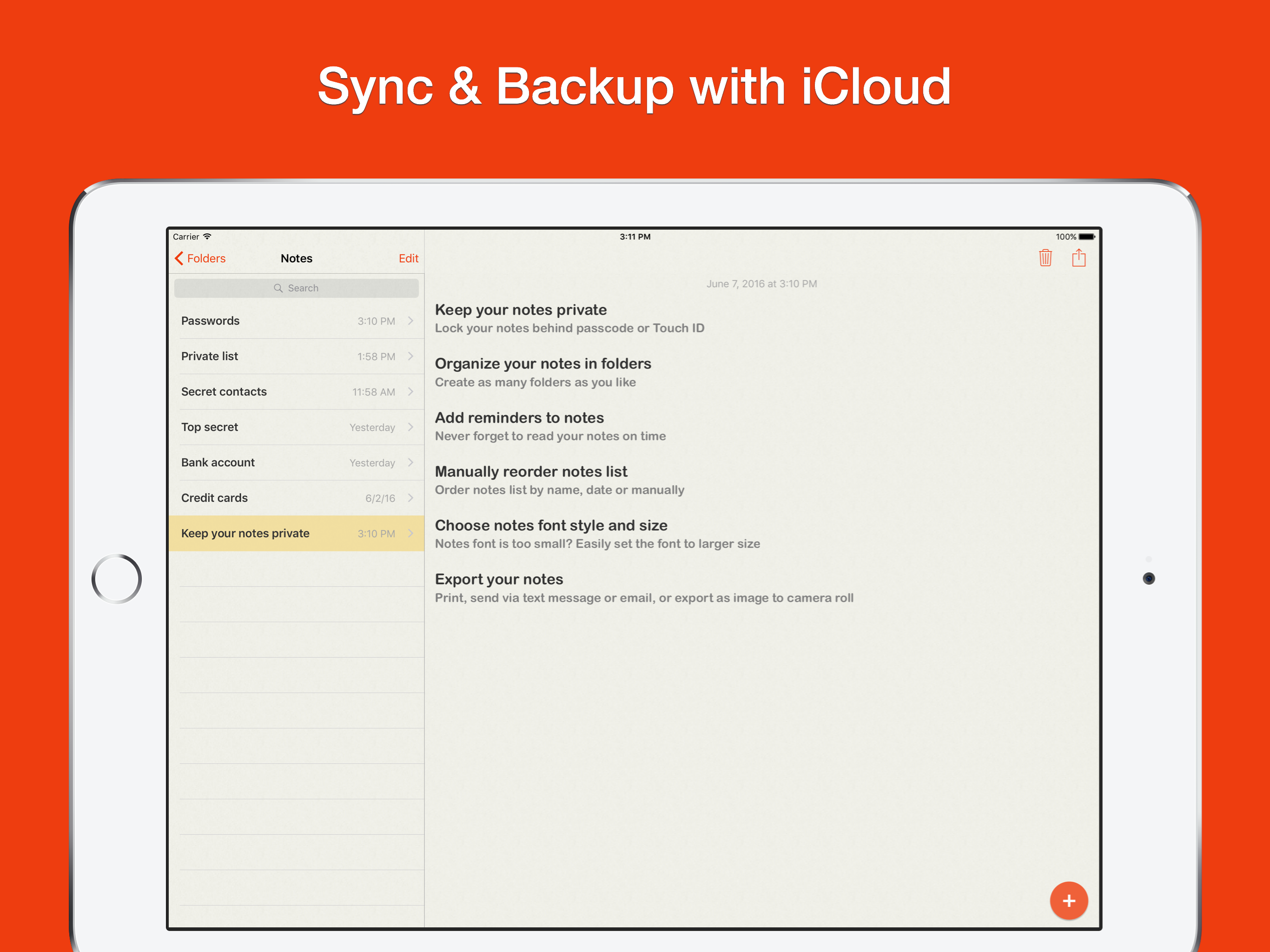 Lock Notes Pro