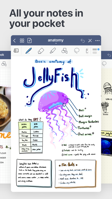 GoodNotes 5 App Download - Android APK