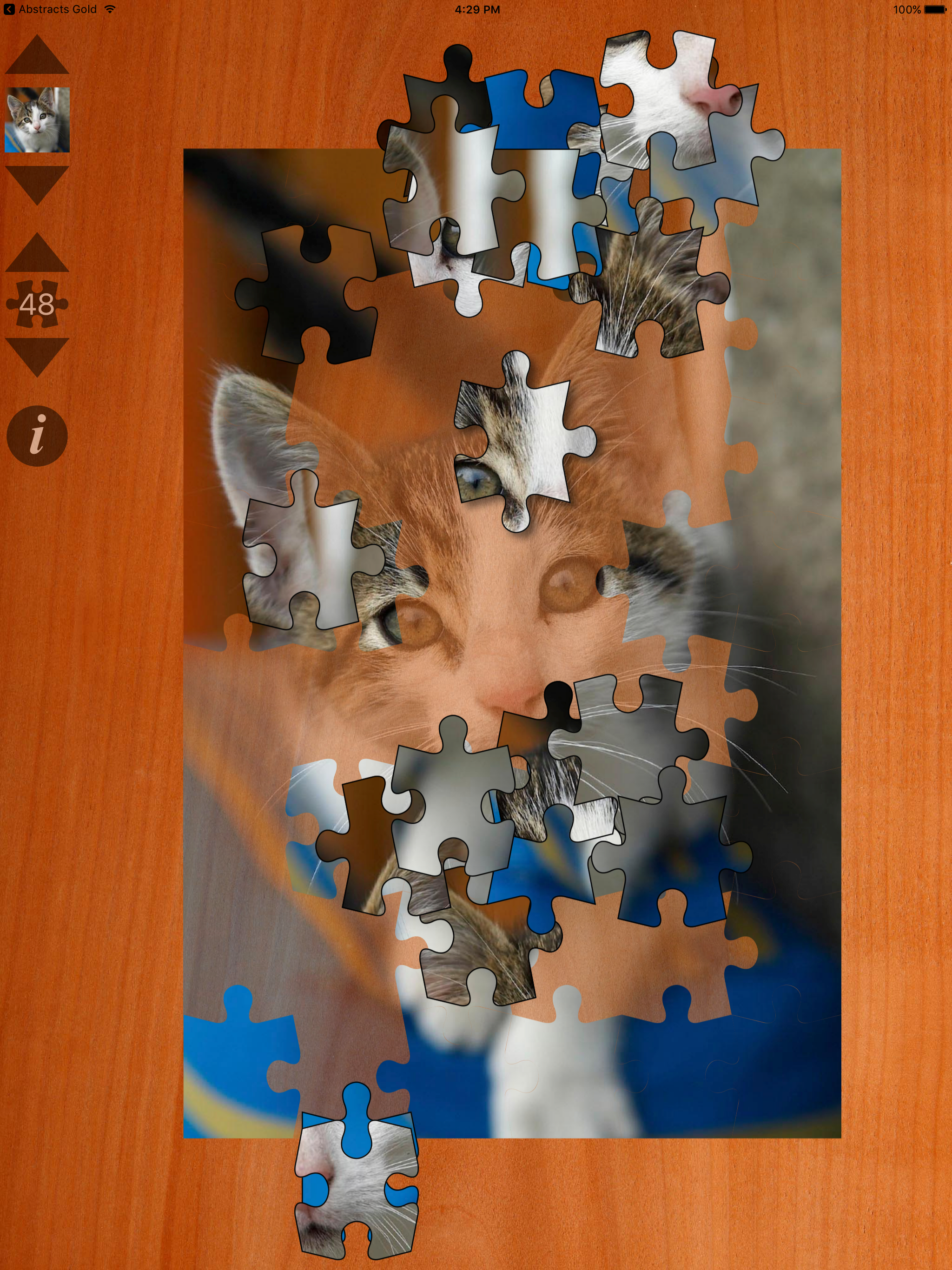 Cat Puzzles