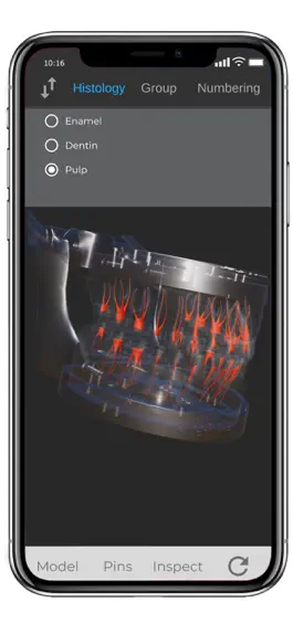 Game screenshot ToothView™ apk
