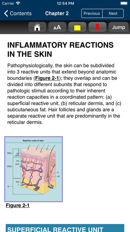 Fitzpatrick's Dermatology, 9/E screenshot-4