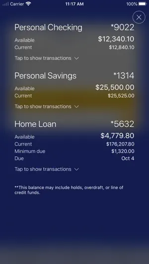Putnam County Bank screenshot 1