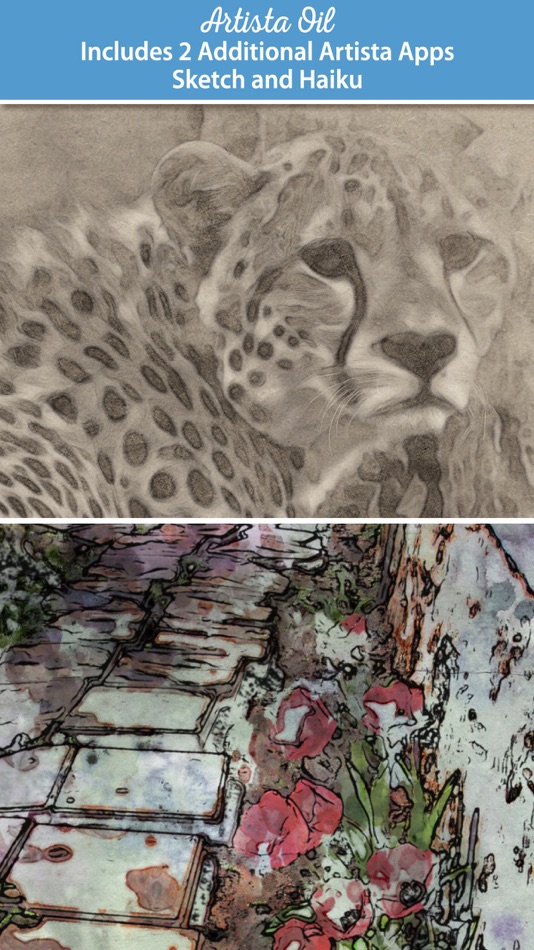 #5. PhotoArtista - Oil (iOS) Podle: JixiPix Software